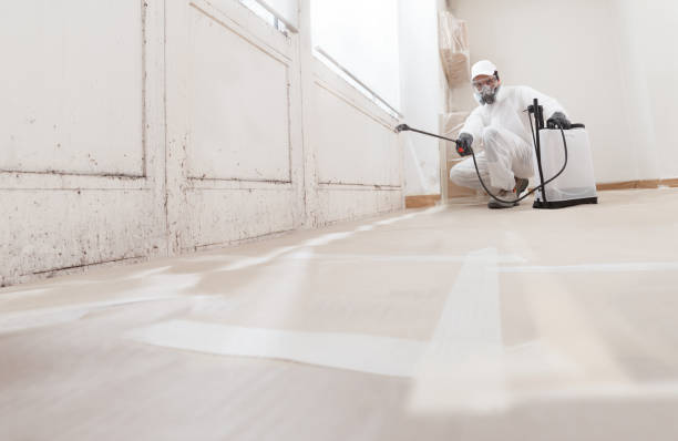 24/7 Emergency Mold Remediation experts in Towson, MD