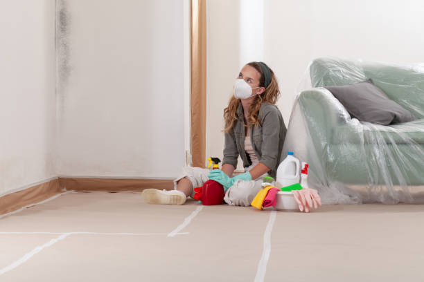 Reliable Mold Remediation contractor in Towson, MD by 24 Hour Mold Removal